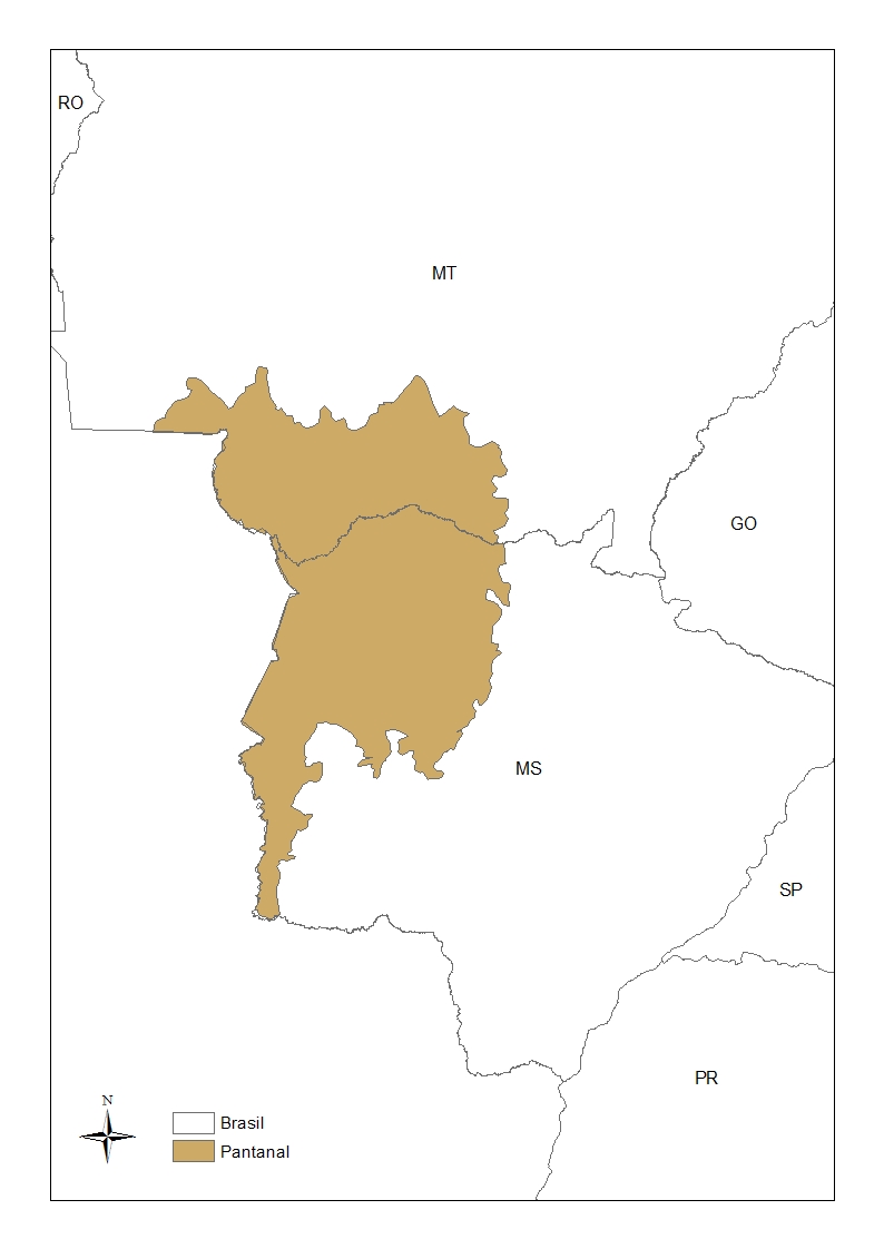 perda cobertura mapa pantanal