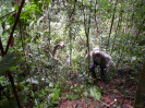 2012_IFN-RO_301_1_0251