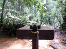 2013_IFN-RO_467_0_1965