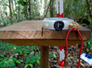 2014_IFN-PA_Amazônia_DSC00740_tratada