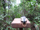 2014_IFN-RO_081_0_1073