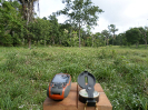 2014_IFN-RO_171_0_333