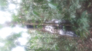 20151119_145840