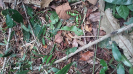 20151123_105639