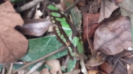 20151123_105654