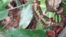20151123_105709