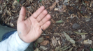 20151123_124347