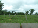 2015_IFN-RO_162_3_2289_Produtos florestais