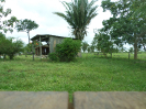 2015_IFN-RO_162_4_2294