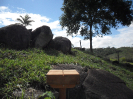 2015_IFN-RO_306_2_480