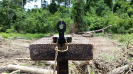2015_IFN-RO_329_0_1751