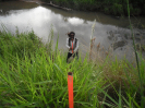 2015_IFN-RO_352_0435