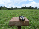 2015_IFN-RO_357_3_1570