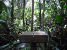 2015_IFN-RO_392_0_453