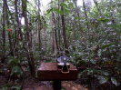 2015_IFN-RO_434_0_1671