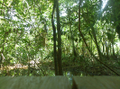 2015_IFN-RO_439_1_1949