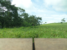 2015_IFN-RO_442_1_1880