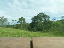 2015_IFN-RO_442_3_1890