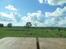 2015_IFN-RO_443_1_2245