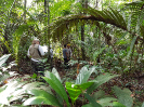 20170912_IFN-RR_Amazônia_152610_Foto Andres Krüger_Krüger Florestal