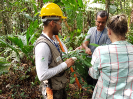 20170912_IFN-RR_Amazônia_153142_Foto Andres Krüger_Krüger Florestal