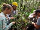 20170912_IFN-RR_Amazônia_153154_Foto Andres Krüger_Krüger Florestal_ajustada