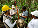 20170912_IFN-RR_Amazônia_153211_Foto Andres Krüger_Krüger Florestal_ajustada