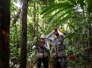 20170912_IFN-RR_Amazônia_160538_Foto Andres Krüger_Krüger Florestal_ajustada
