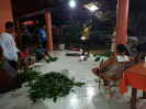20170912_IFN-RR_Amazônia_210127_Foto Andres Krüger_Krüger Florestal