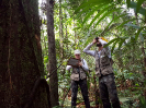 20170918_IFN Amazônia_RR_0000_Foto Andres Krüger_Krüger Florestal_ajustada