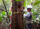 20170918_IFN Amazônia_RR_0002_Foto Andres Krüger_Krüger Florestal_ajustada