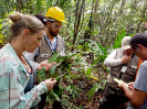 20170918_IFN Amazônia_RR_0003_Foto Andres Krüger_Krüger Florestal_ajustada