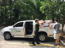 20171016_IFN-RR_Amazônia_WA0017_Foto Krüger Florestal