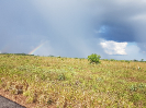 20171029_IFN-RR_Amazônia_10_Foto Andres Krüger_Krüger Florestal