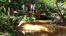 20171029_IFN-RR_Amazônia_7_Foto Robson Júnior Bach_Krüger Florestal_tratada