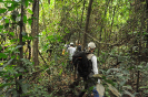 20180124_IFN Amazônia_RR_0576_Foto Krüger Florestal