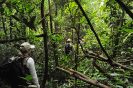 20180124_IFN Amazônia_RR_0580_Foto Krüger Florestal