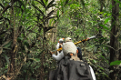 20180124_IFN Amazônia_RR_0581_Foto Krüger Florestal
