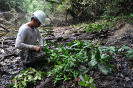20180124_IFN Amazônia_RR_0712_Foto Krüger Florestal