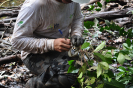 20180124_IFN Amazônia_RR_0714_Foto Krüger Florestal