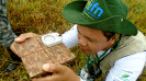 20180313_IFN Amazônia_TO_115_100_Atividades em Campo_Foto Krüger Florestal_ajustada