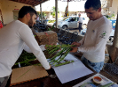 20180314_IFN Amazônia_TO_153242_Material Botânico_Foto Krüger Florestal_ajustada