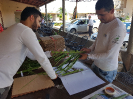 20180314_IFN Amazônia_Tocantins_153242_Material Botânico_Foto Krüger Florestal