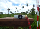 20180320_IFN Amazônia_TO_7042_Atividades em Campo_Foto Krüger Florestal