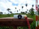 20180320_IFN Amazônia_TO_7042_Atividades em Campo_Foto Krüger Florestal_tratada