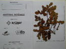 20180325_IFN Amazônia_Tocantins_7159_Material Botânico_Foto Krüger Florestal
