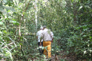 20180403_IFN Amazônia_7055_Capacitação Equipes AC e Manaus