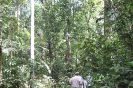 20180403_IFN Amazônia_7056_Capacitação Equipes AC e Manaus