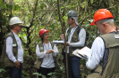 20180409_IFN Amazônia_7167_Capacitação Equipes AC e Manaus