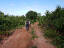 20180519_IFN Amazônia_MA_080150_Foto Krüger Florestal